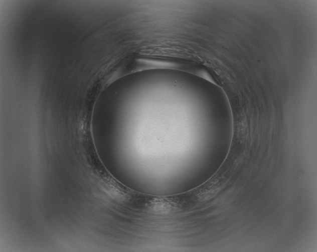 X0000073990608200608281316