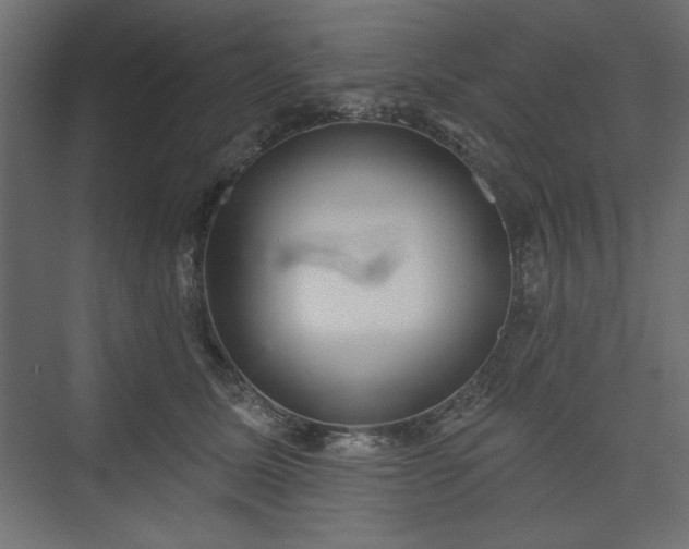 X0000073990611200608281316