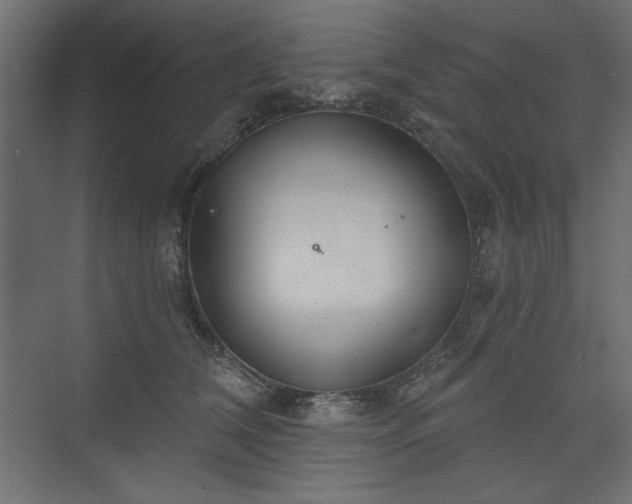 X0000073990612200608281316