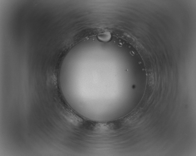 X0000073990613200608281316