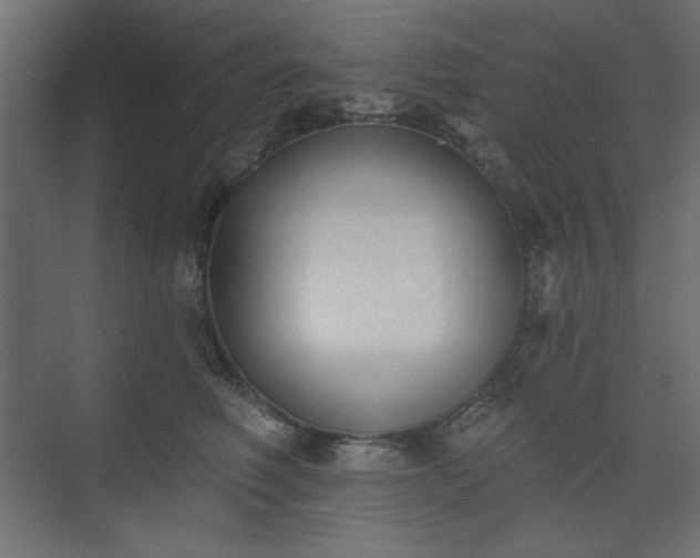 X0000073990614200608281315