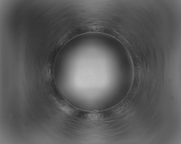 X0000073990615200608281315