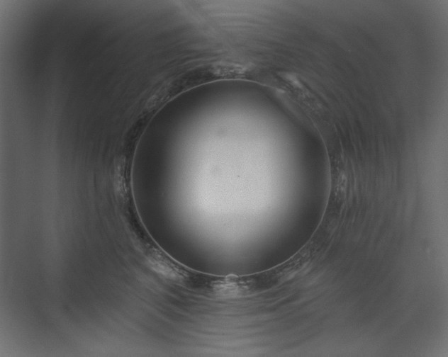 X0000073990616200608281315