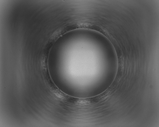 X0000073990619200608281315