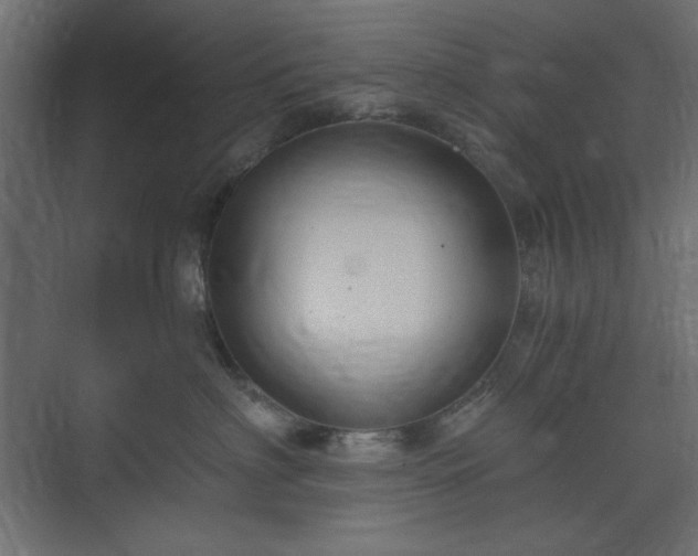 X0000073990622200608281315