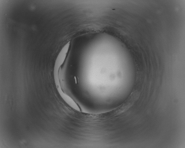 X0000073990624200608281315