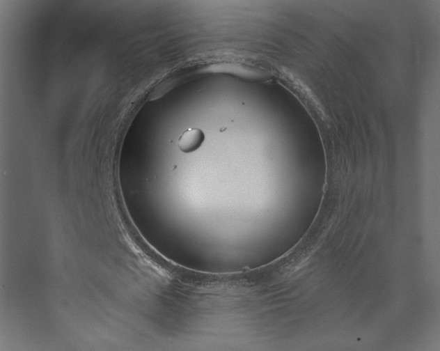 X0000073990625200608281315