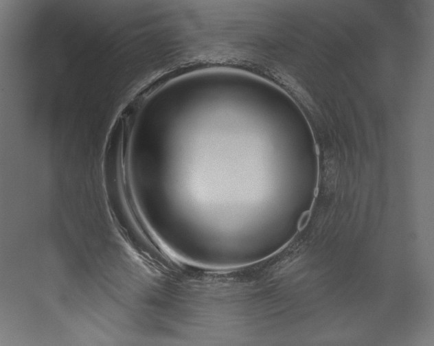 X0000073990626200608281315