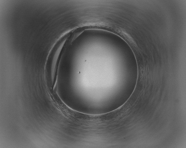 X0000073990628200608281315