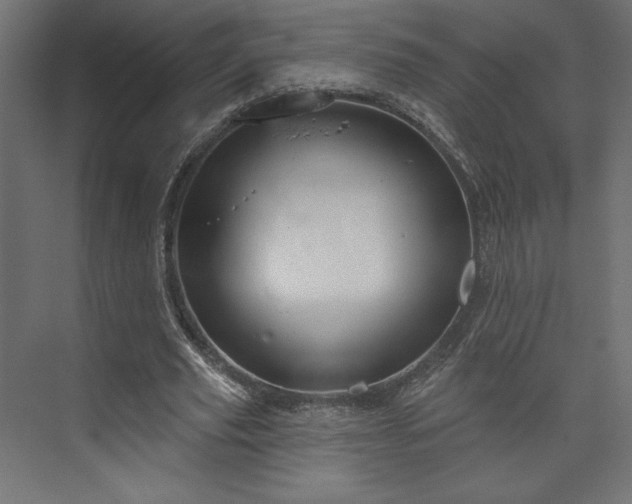 X0000073990629200608281315