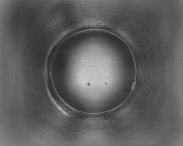 X0000073990630200608281315