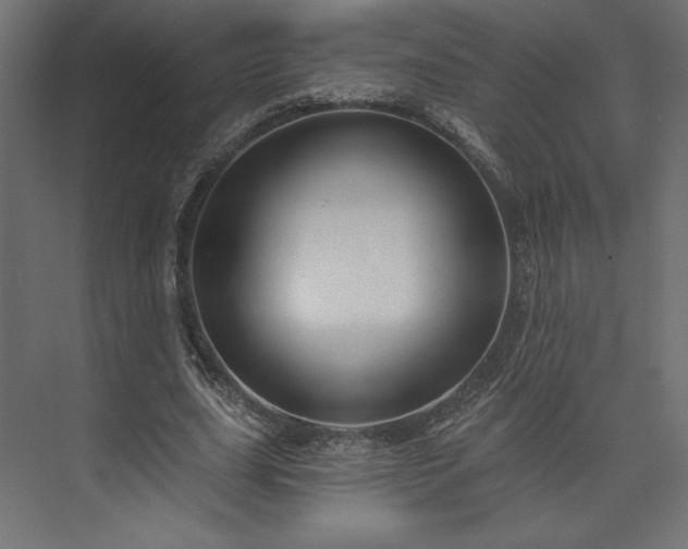 X0000073990631200608281315