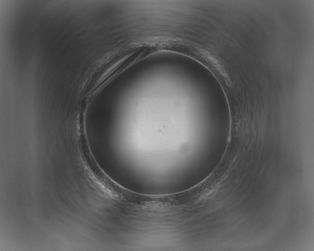 X0000073990633200608281315