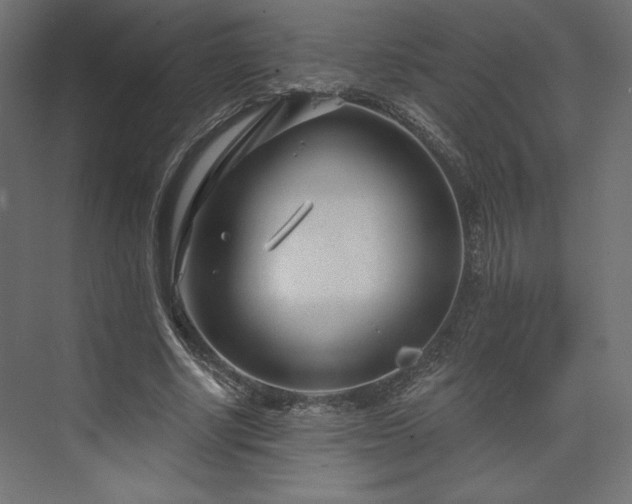 X0000073990634200608281315