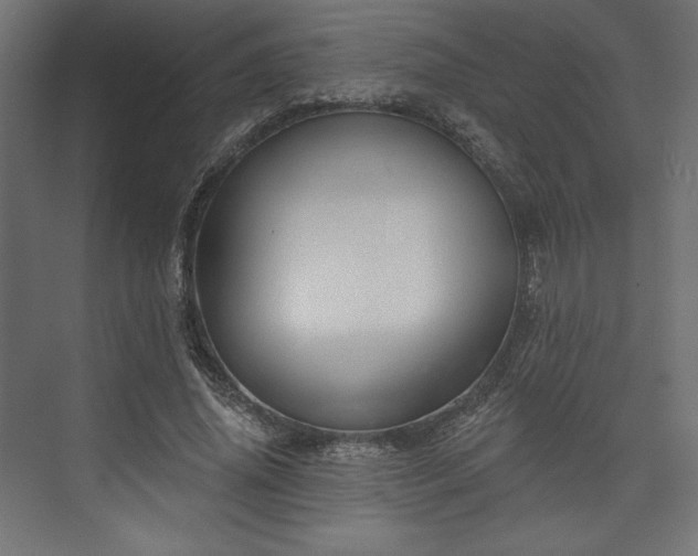 X0000073990636200608281315