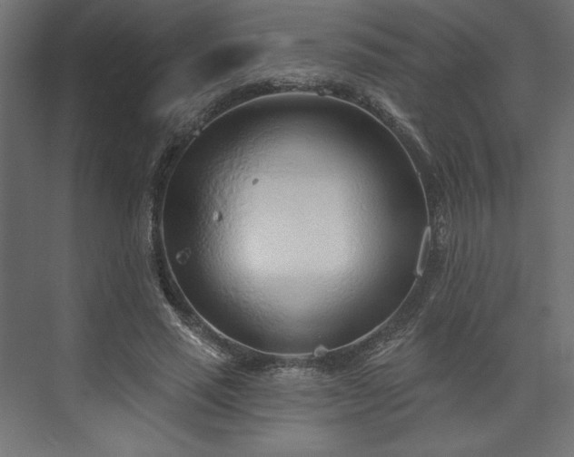 X0000073990637200608281315