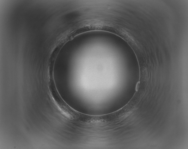 X0000073990638200608281315