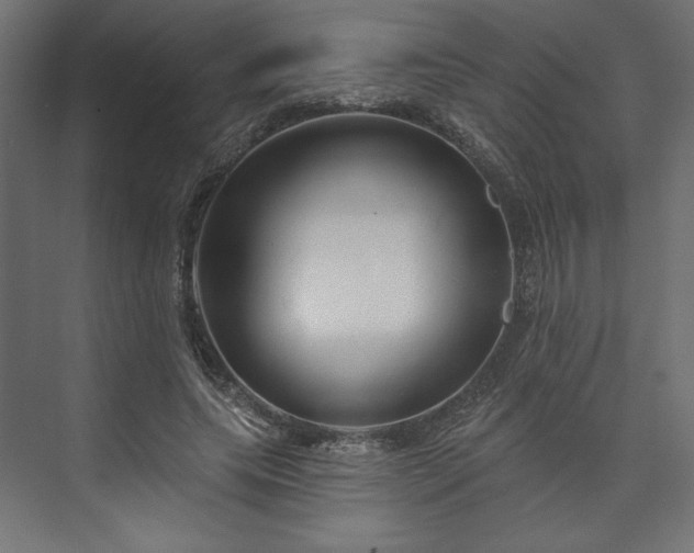 X0000073990639200608281315