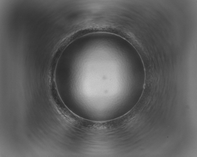 X0000073990640200608281315