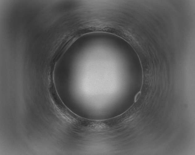 X0000073990642200608281315