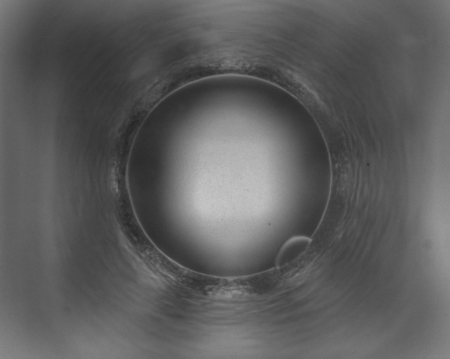 X0000073990643200608281315