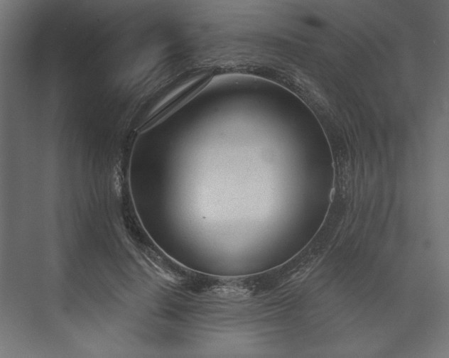 X0000073990644200608281315