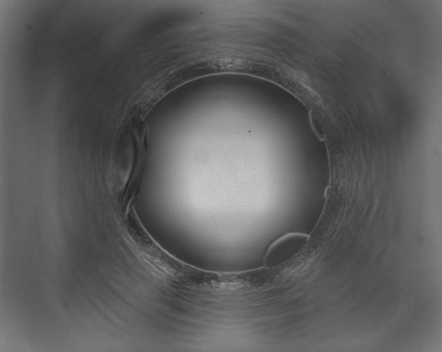 X0000073990645200608281315