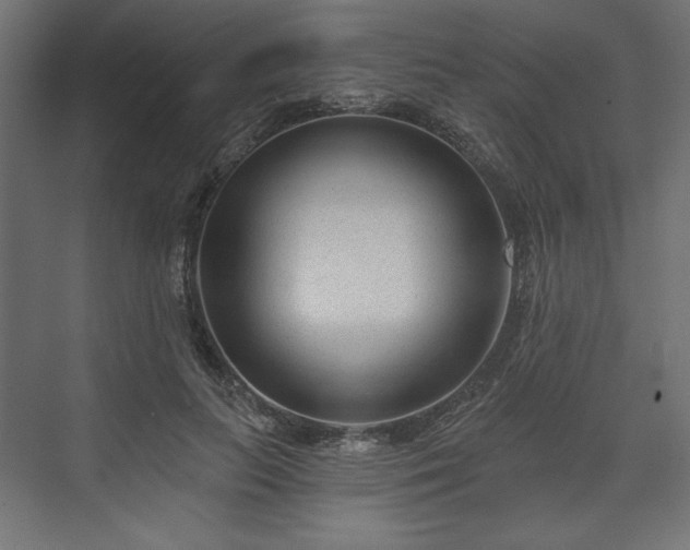 X0000073990647200608281315