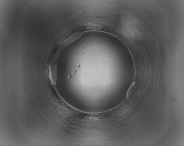 X0000073990649200608281315