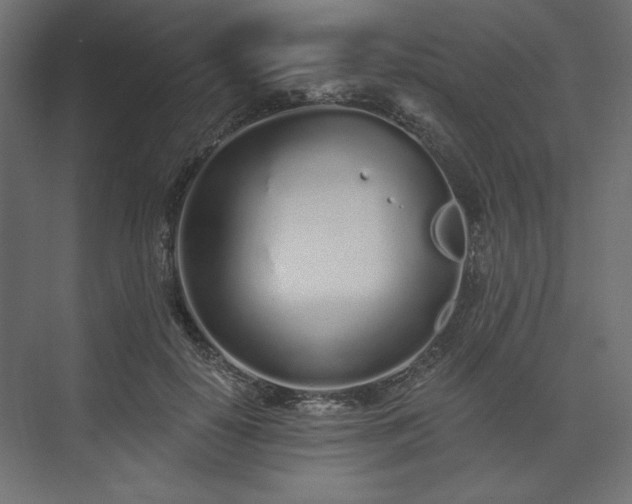 X0000073990650200608281315