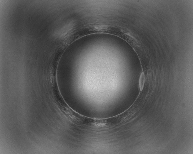 X0000073990651200608281315