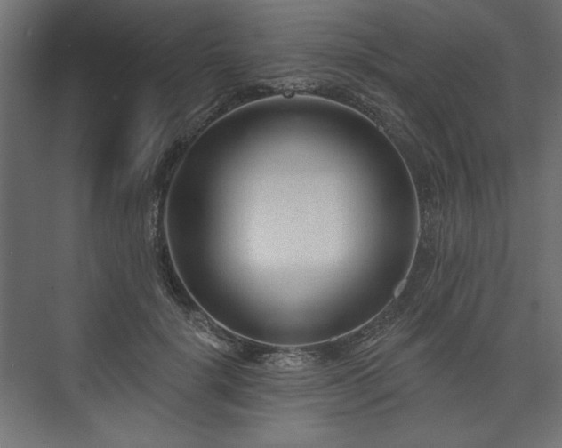 X0000073990652200608281315