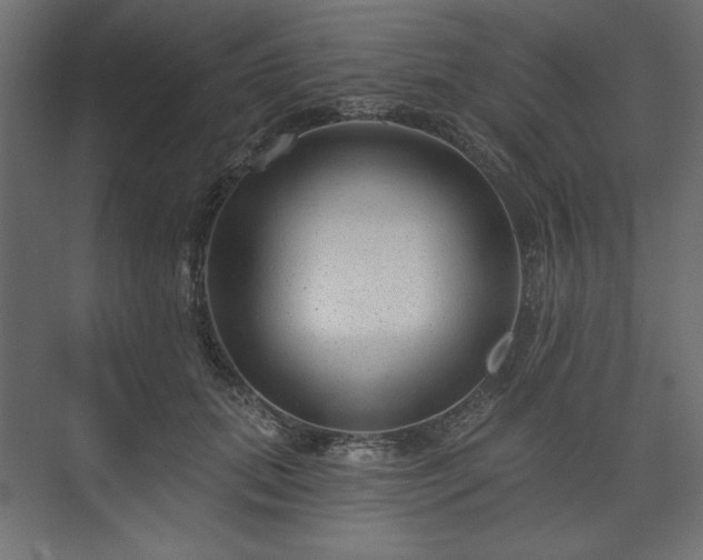 X0000073990655200608281315