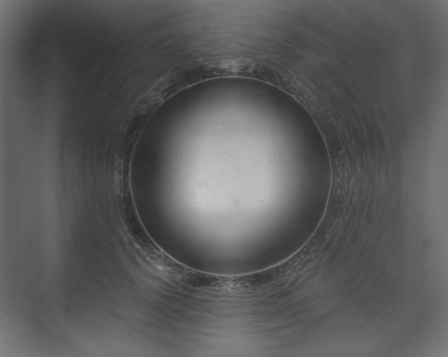 X0000073990656200608281315