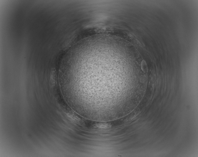 X0000073990659200608281315