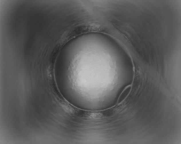 X0000073990663200608281315