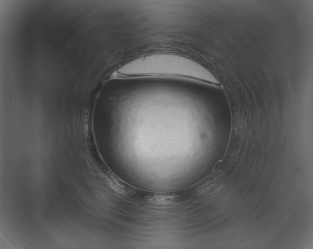 X0000073990664200608281315