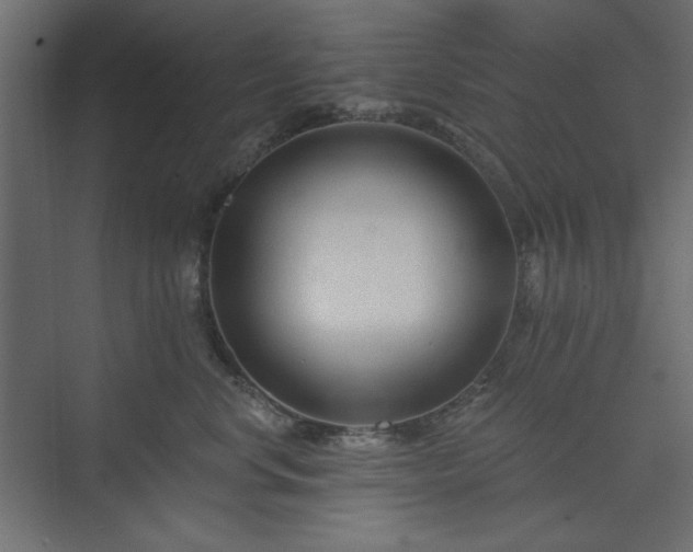 X0000073990668200608281315