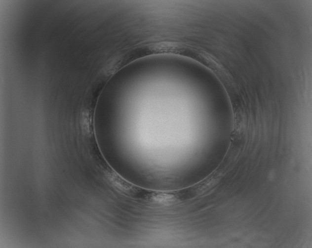 X0000073990669200608281315