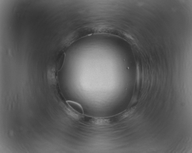 X0000073990670200608281315