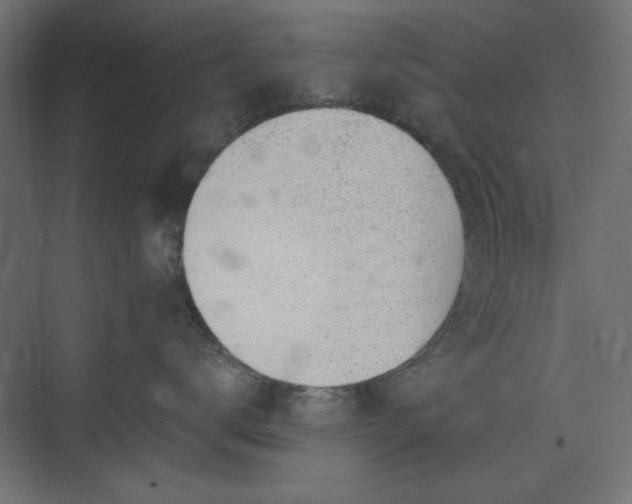 X0000073990672200608281315