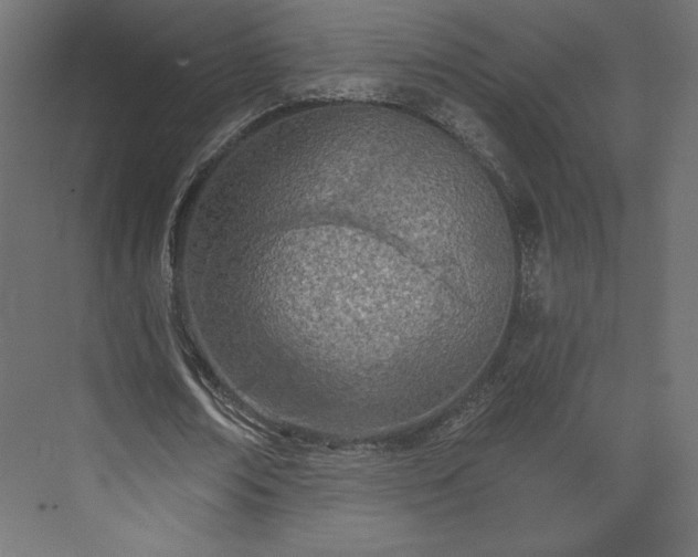 X0000073990674200608281314