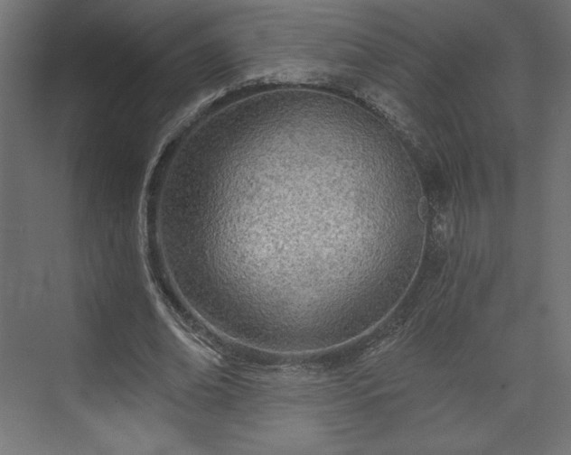 X0000073990678200608281314