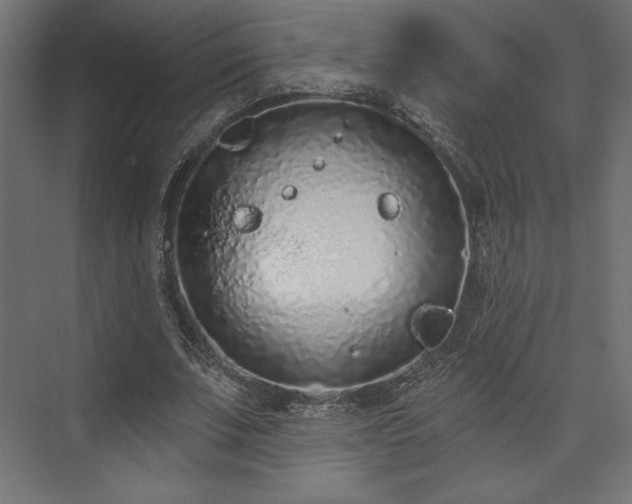 X0000073990679200608281314