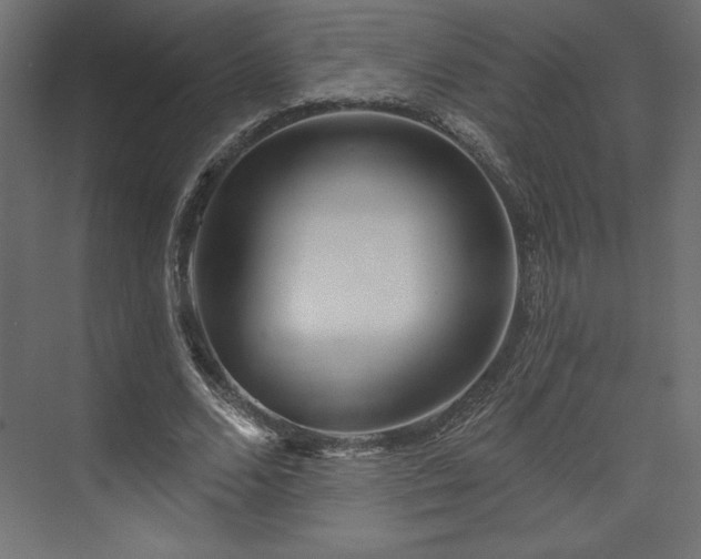 X0000073990680200608281314