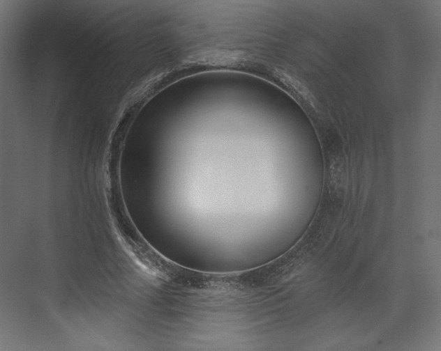 X0000073990682200608281314