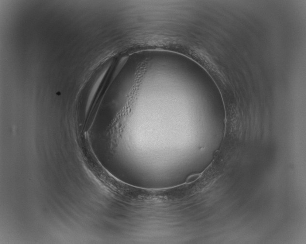 X0000073990683200608281314