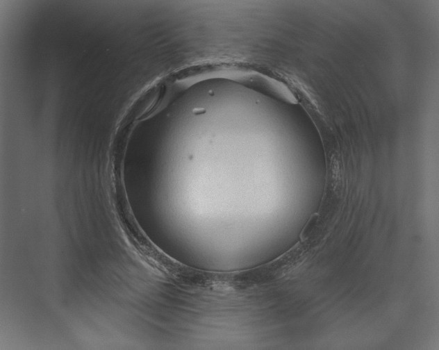 X0000073990684200608281314