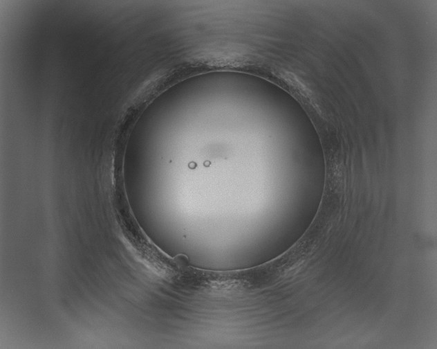 X0000073990686200608281314