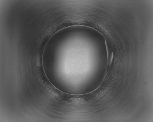 X0000073990689200608281314